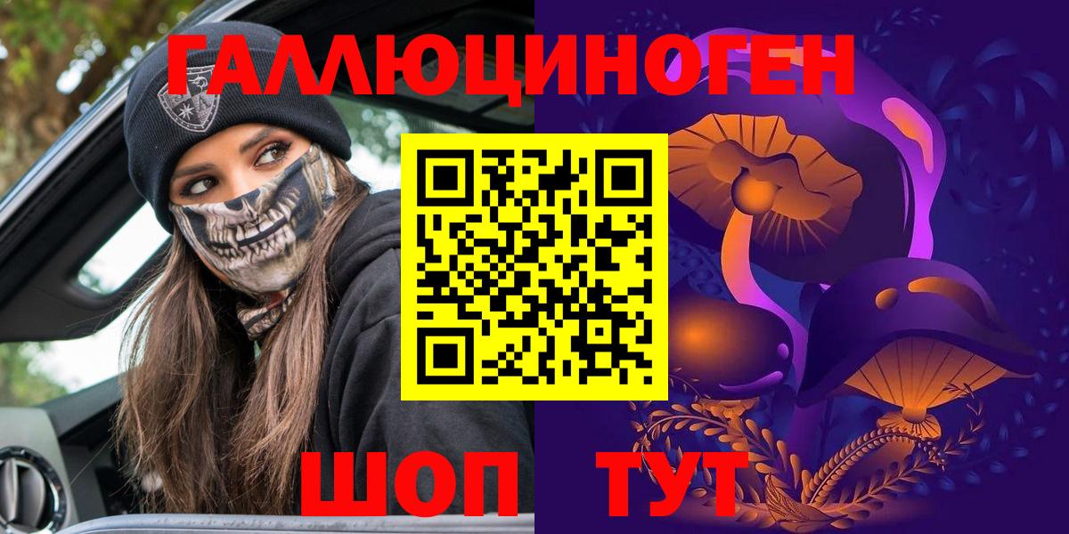 Псилоцибиновые грибы Psilocybine cubensis Кореновск