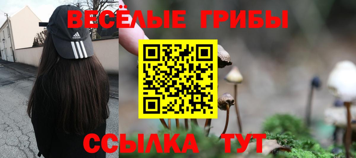 Кореновск  Галлюциногенные грибы прущие грибы  Вход с VPN 